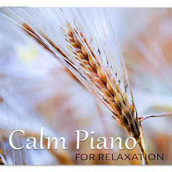 Calm Piano for Relaxation - Background Music for Dinner, Study, Sleep and Chill Lounge, Easy Listening Instrumentals, Reduce Stress, Just Relax by Sentimental Piano Music Oasis