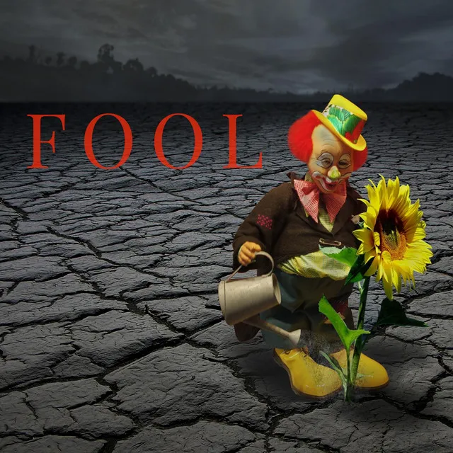 Fool