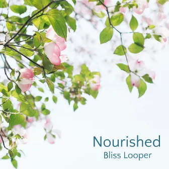 Nourished by Bliss Looper