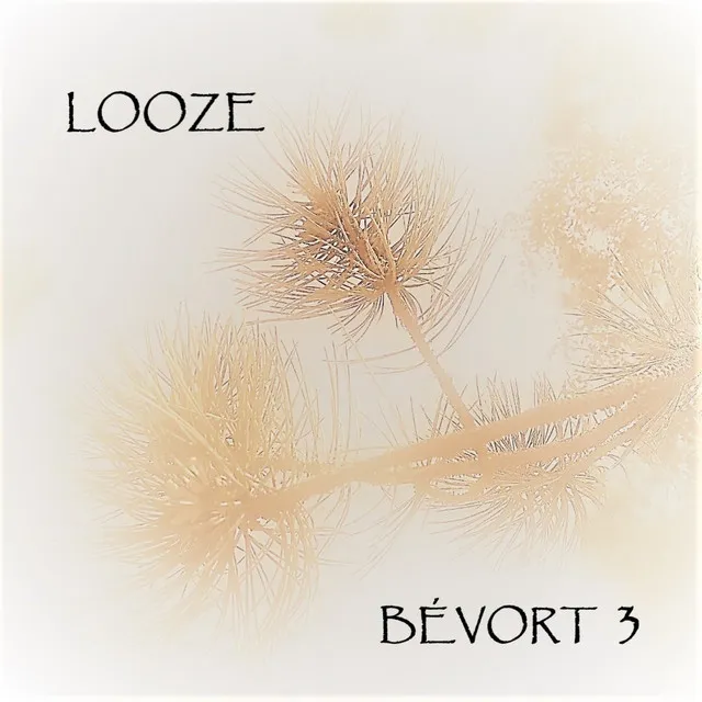 LOOZE - Single Edit