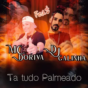 Tá Tudo Palmeado by Mc Doriva