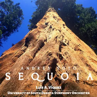 Sequoia by Andres Soto