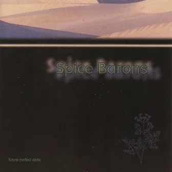 Future Perfect State by Spice Barons