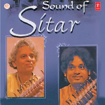 Sound Of Sitar (Immortal Series) by Shivnath Mishra