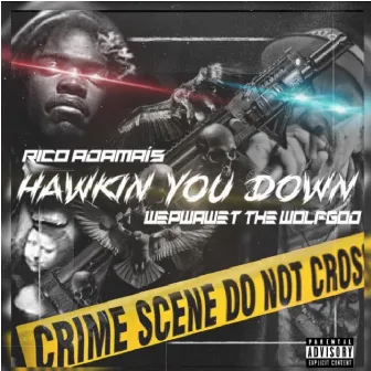 Hawkin You Down by Rico Adamaís