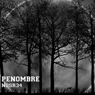 Pénombre by NosR34