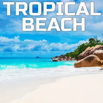 Tropical Beach by 