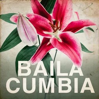 Baila Cumbia by Unknown Artist