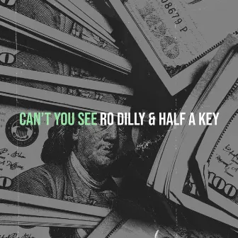 Can’t You See by Ro Dilly