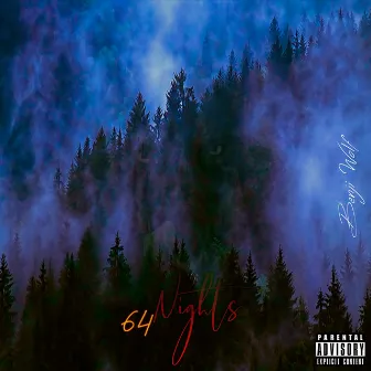 64 Nights by Benji Wolf