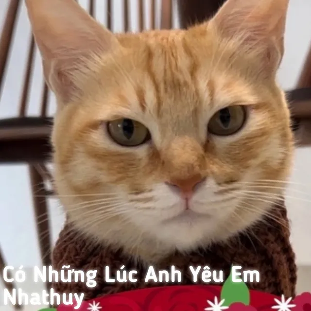 Có Những Lúc Anh Yêu Em