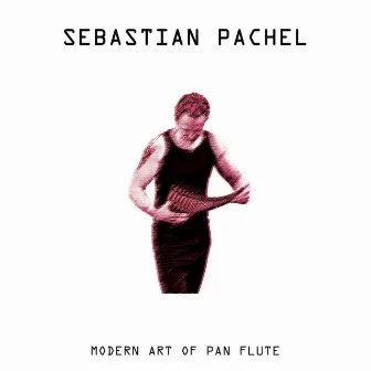 Modern Art of Pan Flute by Sebastian Pachel