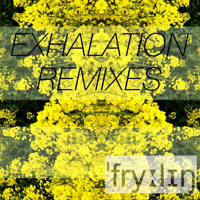 Exhalation Remixes