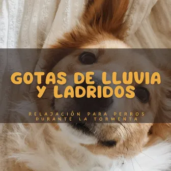 Gotas De Lluvia Y Ladridos: Relajación Para Perros Durante La Tormenta by Música para la ansiedad del perro