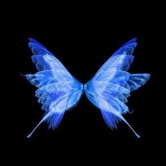 Butterfly Effect by Oxide Muzik