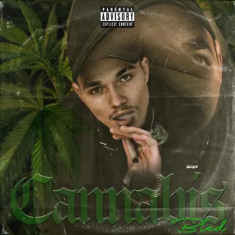 Cannabis by BLED