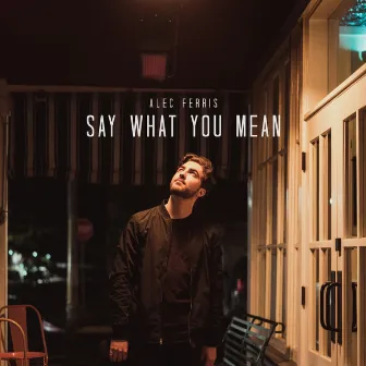 Say What You Mean by Alec Ferris