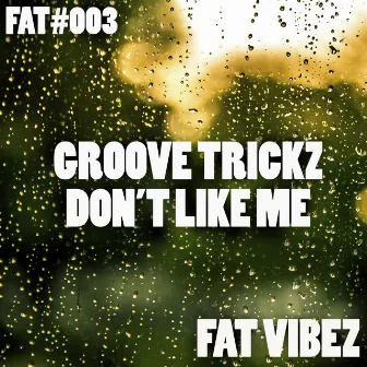 Don't Like Me by Groove Trickz