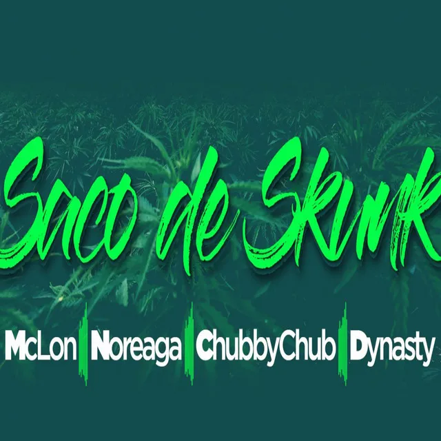 Saco de Skunk