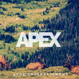 APEX by Isse Baby