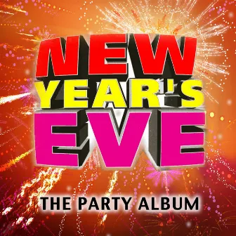 New Year's Eve - The Party Album by Wild Stylerz