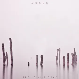 Got It Like That by Muovo