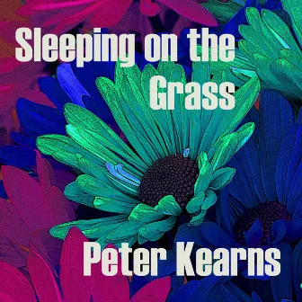 Sleeping on the Grass by Peter Kearns