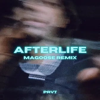 Afterlife (Magoose Remix) by Magoose