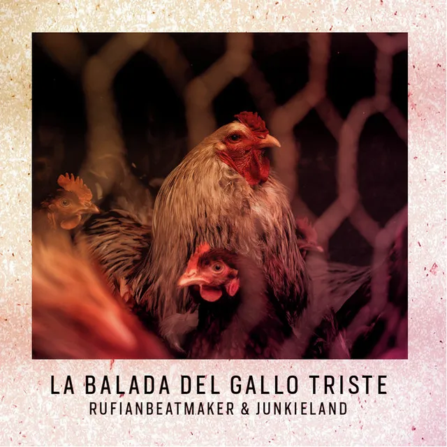 La Balada del Gallo Triste