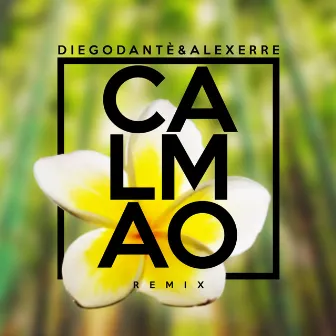 Calmao (Remix) by Diego Dantè