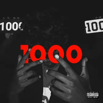 1000 by STIC