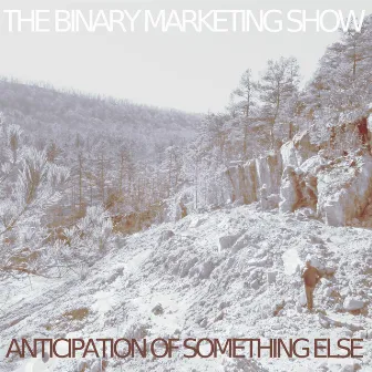 Anticipation of Something Else by The Binary Marketing Show