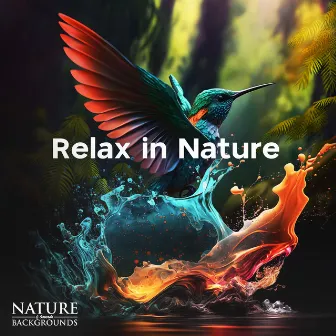 Relax in Nature by Nature Sounds & Backgrounds