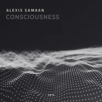 Consciousness by Alexis Samaan