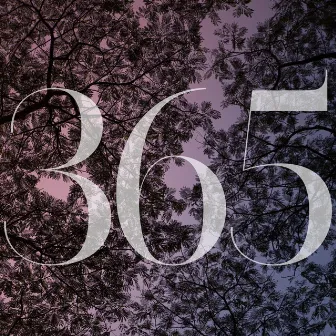 365 by Ian Wallace