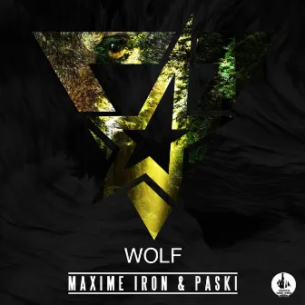 Wolf (Radio Edit) by Paski