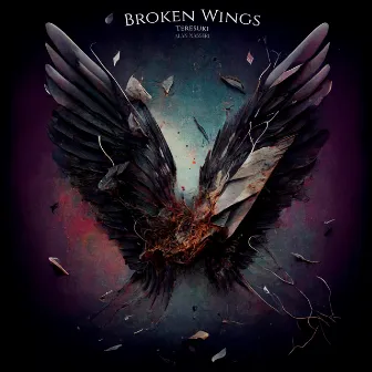 Broken Wings by Teresuki