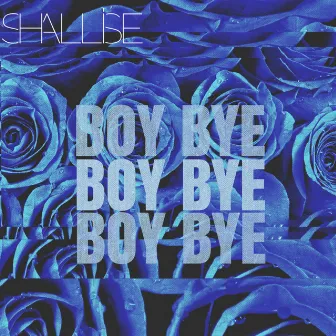 Boy Bye by Shallise