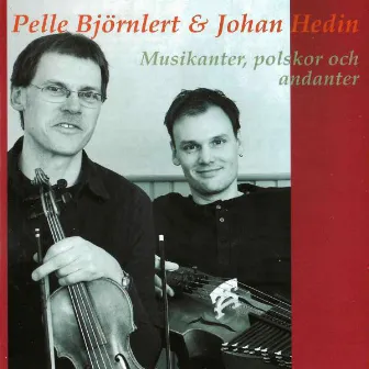 Musikanter, polskor och andanter by Johan Hedin