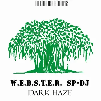 Dark Haze by W.E.B.S.T.E.R.