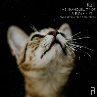 The Tranquillity of A Remix - Pt. II by Sol Pillars