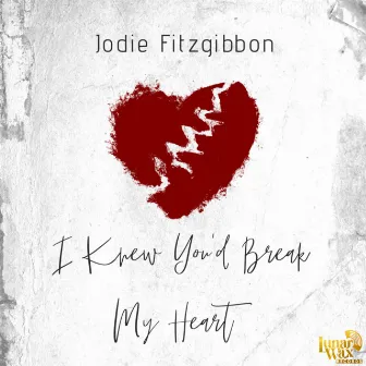 I Knew You'd Break My Heart by Jodie Fitzgibbon