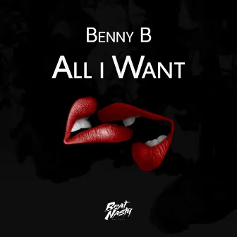 All I Want by Benny B