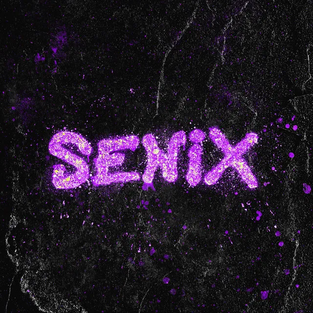 Senix