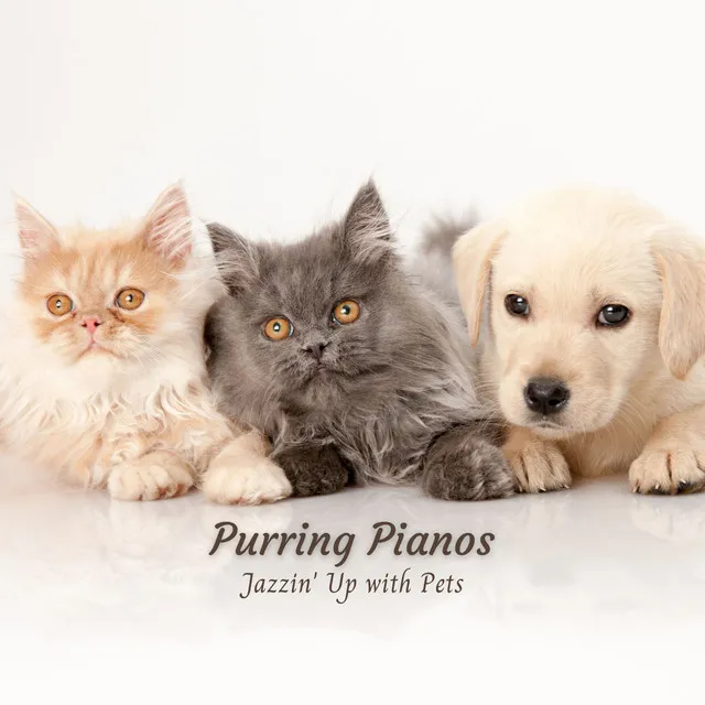 Purring Pianos: Jazzin' Up with Pets