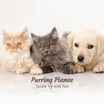 Purring Pianos: Jazzin' Up with Pets by 