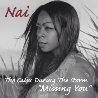 Missing You by Nai