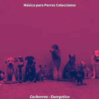 Cachorros - Energetico by Música para Perros Colecciones