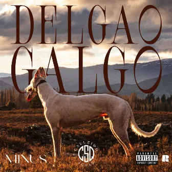 Delgao Galgo by MINUS CSQ