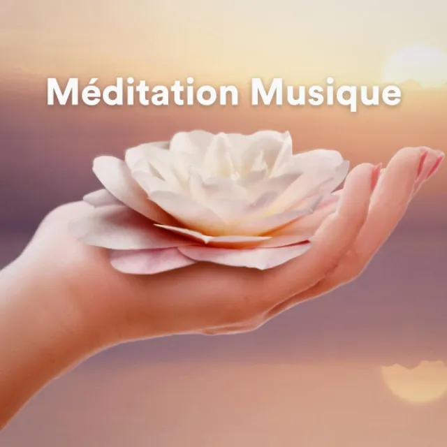 Méditation Musique